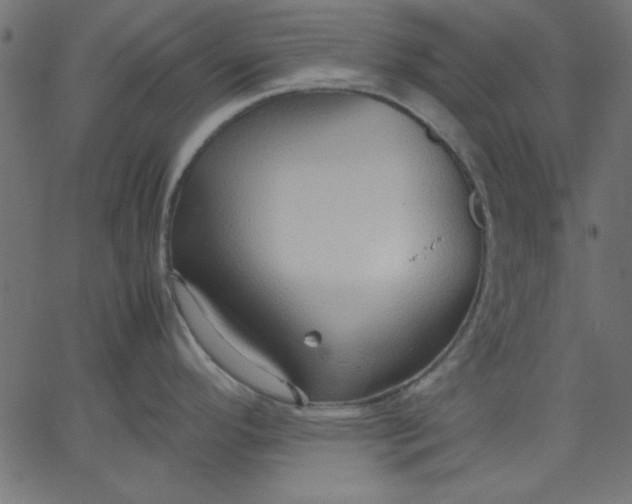 X0000067831296200604271545