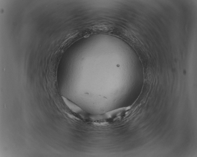 X0000067831297200604271544