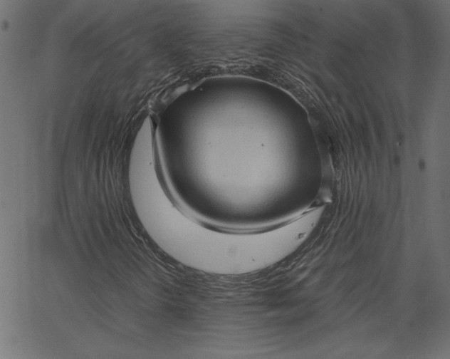 X0000067831298200604271544