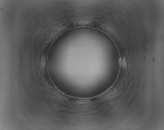 X0000067831299200604271544