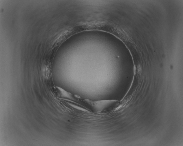 X0000067831300200604271544