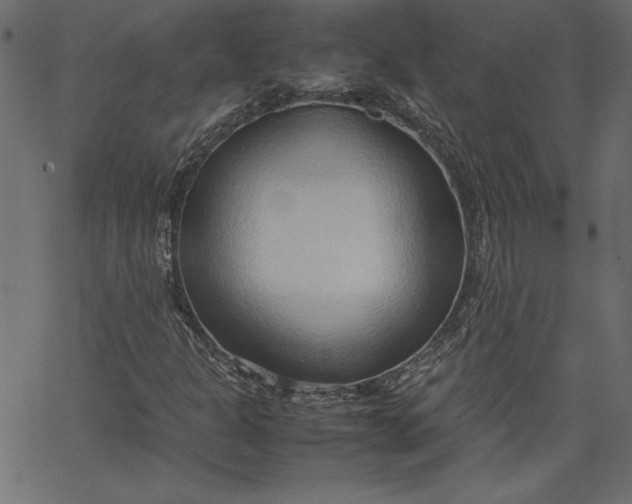 X0000067831301200604271544