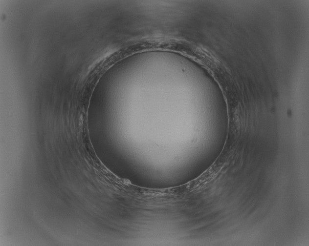 X0000067831302200604271544