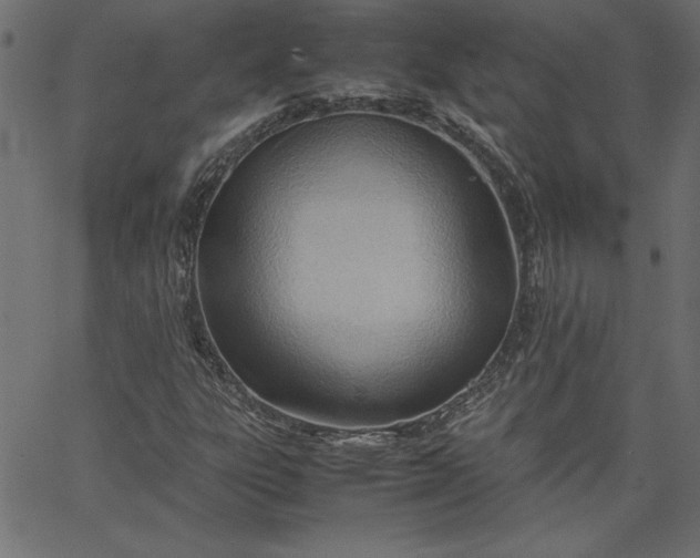 X0000067831303200604271544