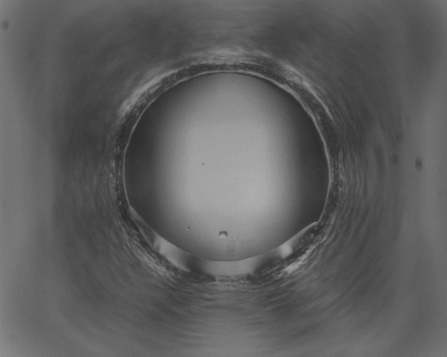 X0000067831304200604271544