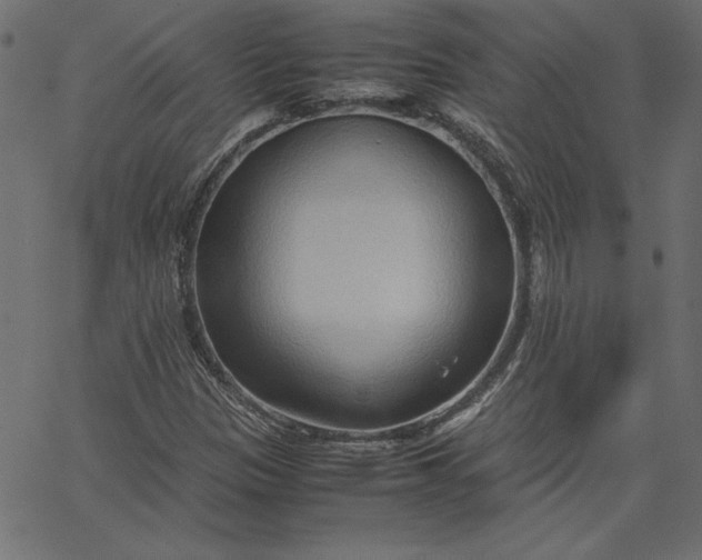 X0000067831305200604271544