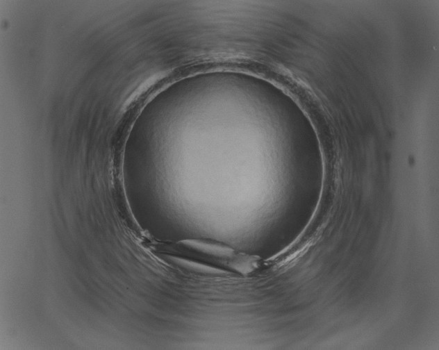 X0000067831306200604271544