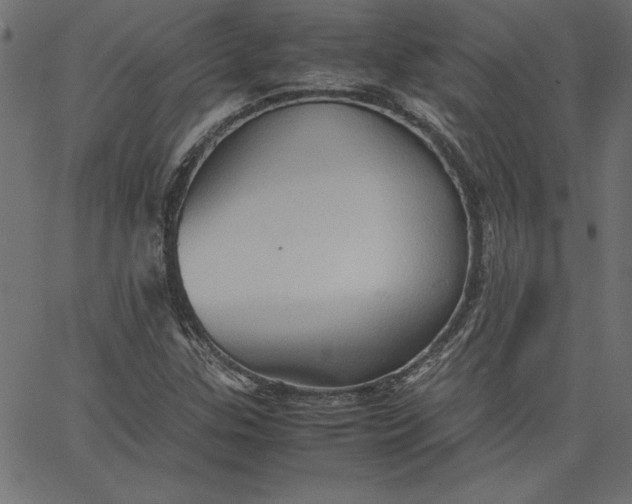 X0000067831307200604271544