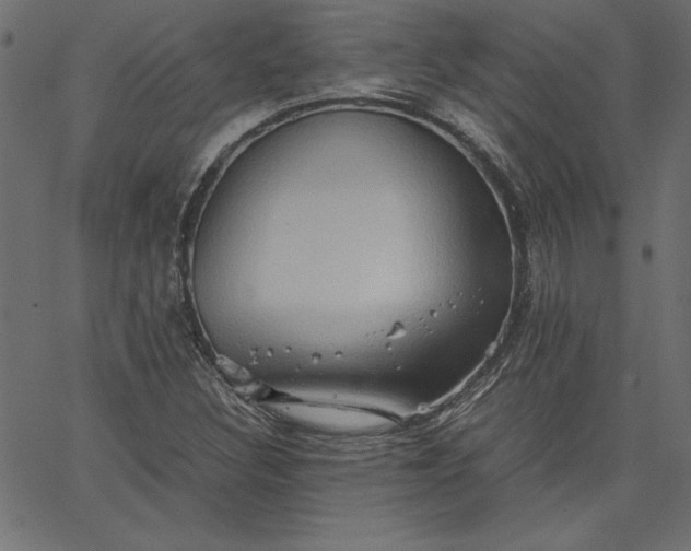 X0000067831308200604271544