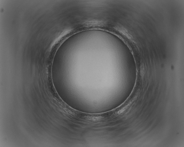 X0000067831309200604271544