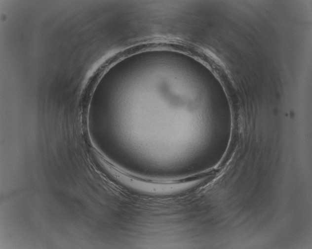 X0000067831310200604271544