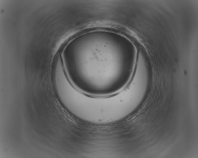 X0000067831312200604271544