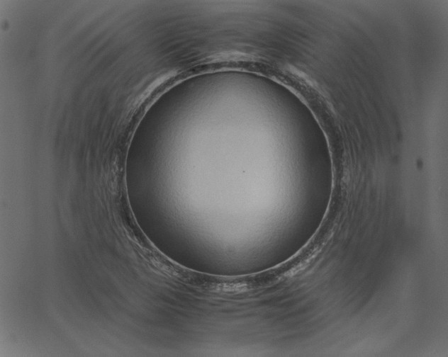 X0000067831313200604271544