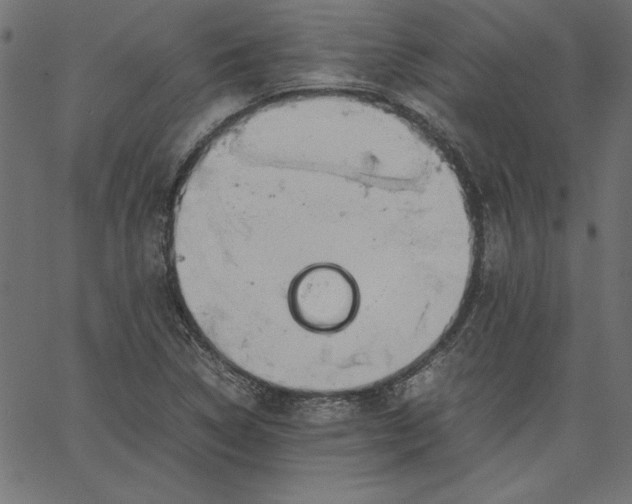 X0000067831314200604271544