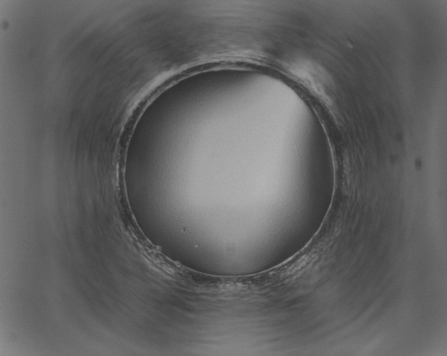 X0000067831316200604271544