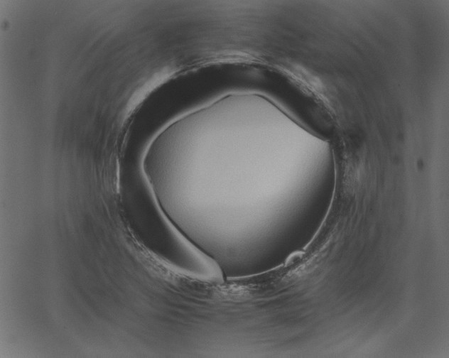 X0000067831317200604271544