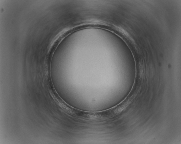 X0000067831318200604271544