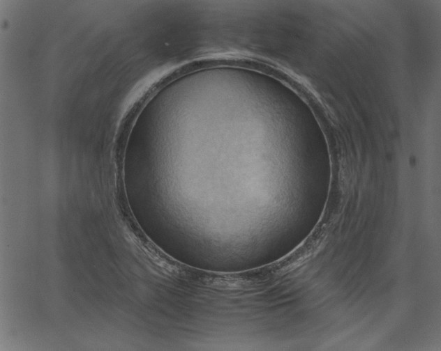 X0000067831319200604271544