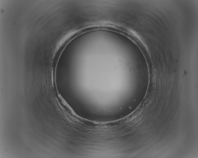 X0000067831320200604271544