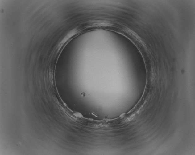 X0000067831321200604271544