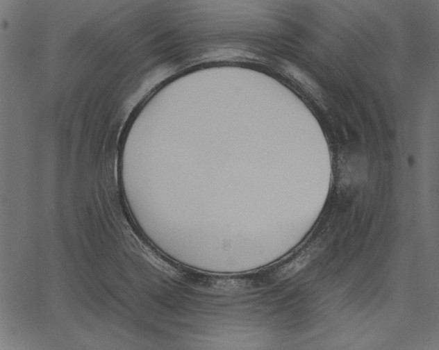 X0000067831322200604271544