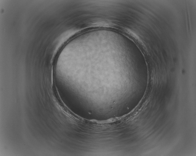 X0000067831323200604271544