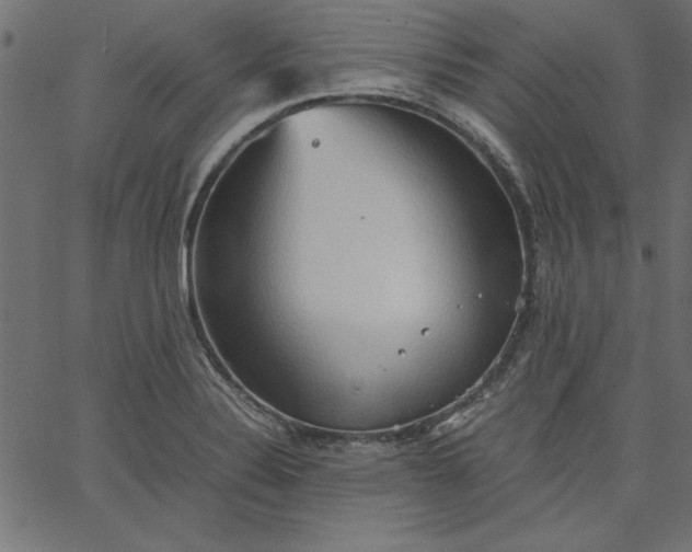 X0000067831324200604271544