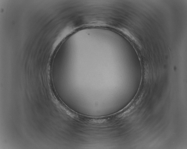 X0000067831325200604271544