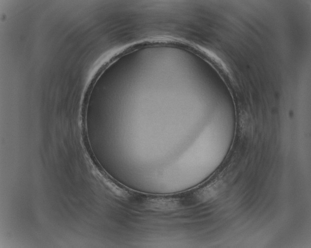 X0000067831327200604271544