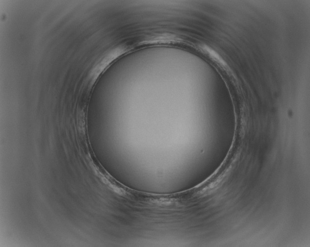 X0000067831329200604271544