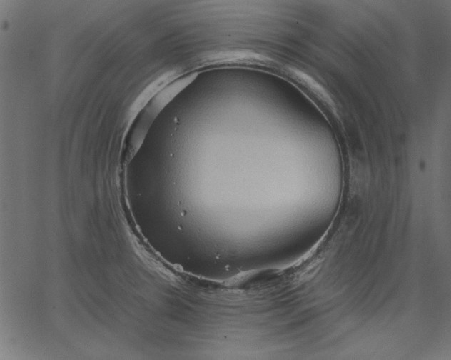 X0000067831330200604271544