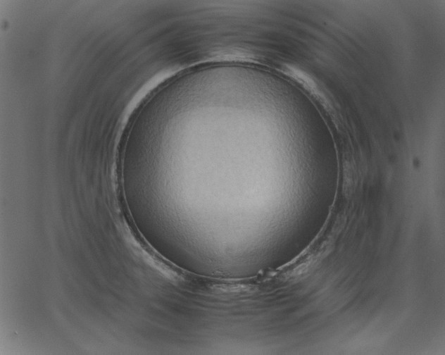 X0000067831331200604271544