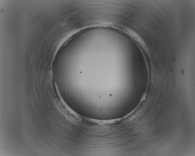 X0000067831332200604271544