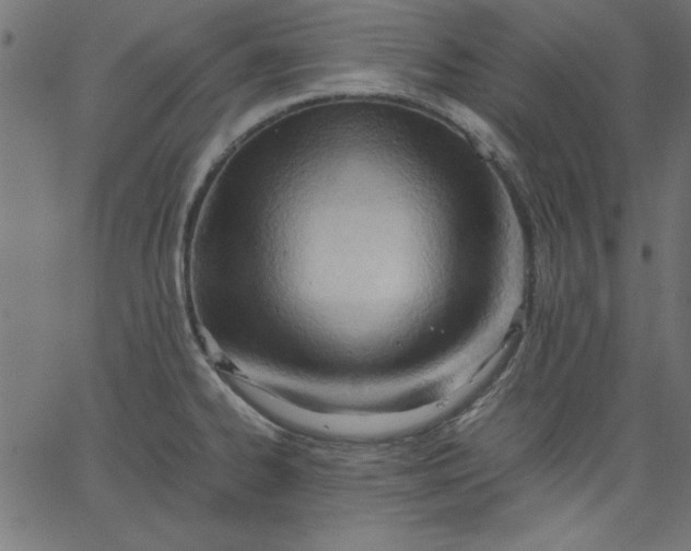 X0000067831334200604271544