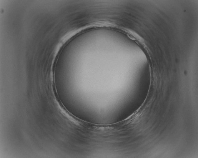 X0000067831335200604271544