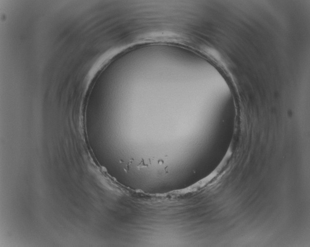 X0000067831336200604271544