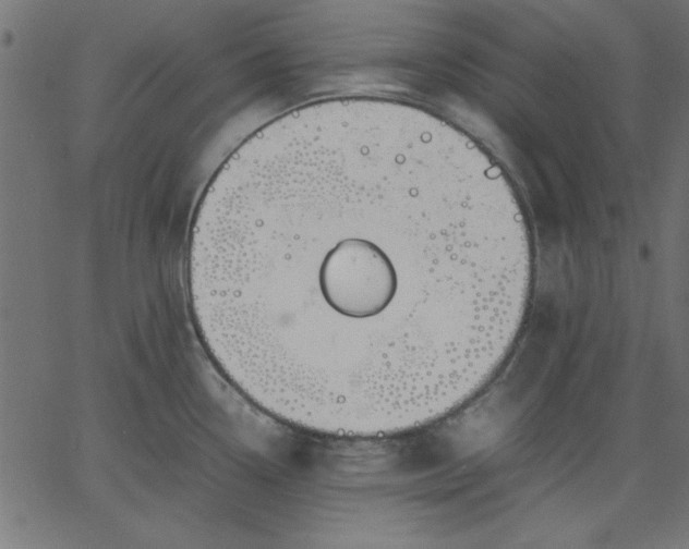 X0000067831338200604271544