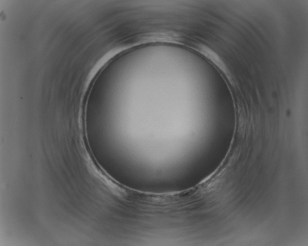 X0000067831339200604271544