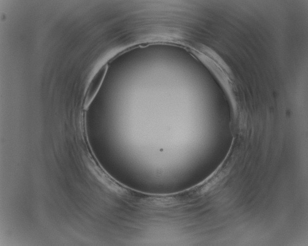 X0000067831340200604271545