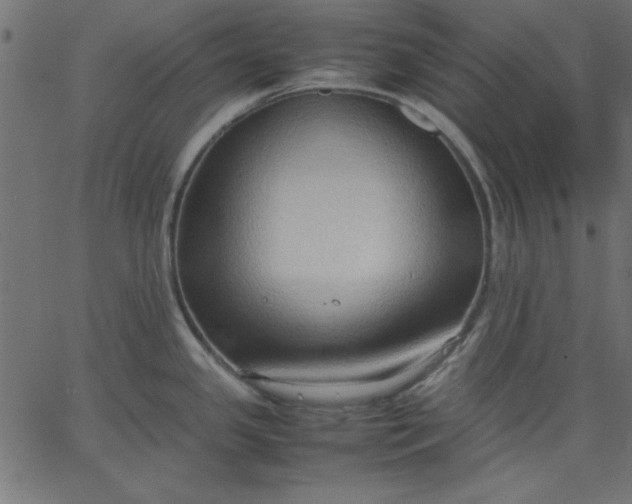 X0000067831341200604271545