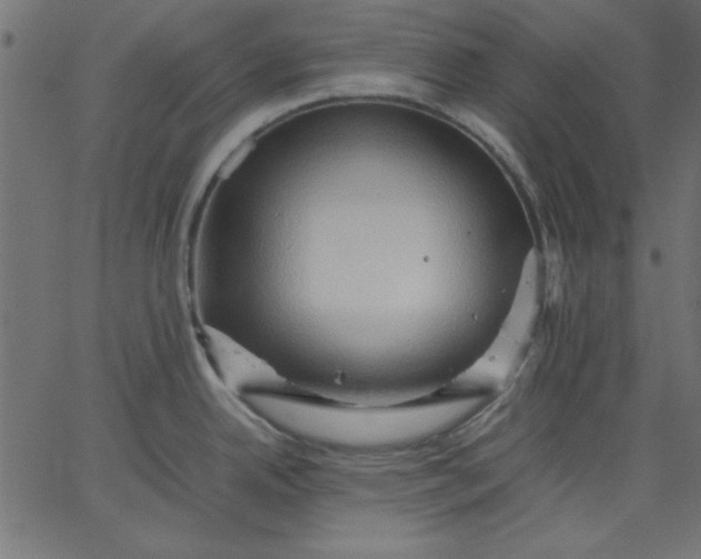 X0000067831342200604271545