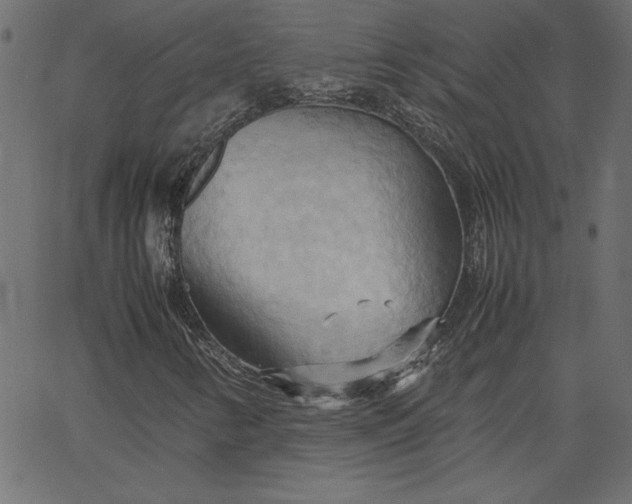 X0000067831346200604271544