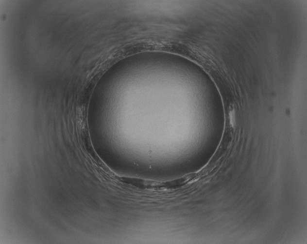 X0000067831347200604271544