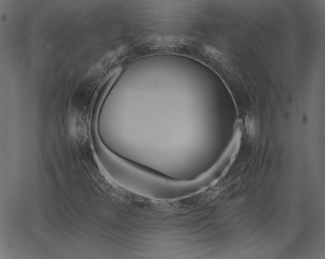 X0000067831348200604271544