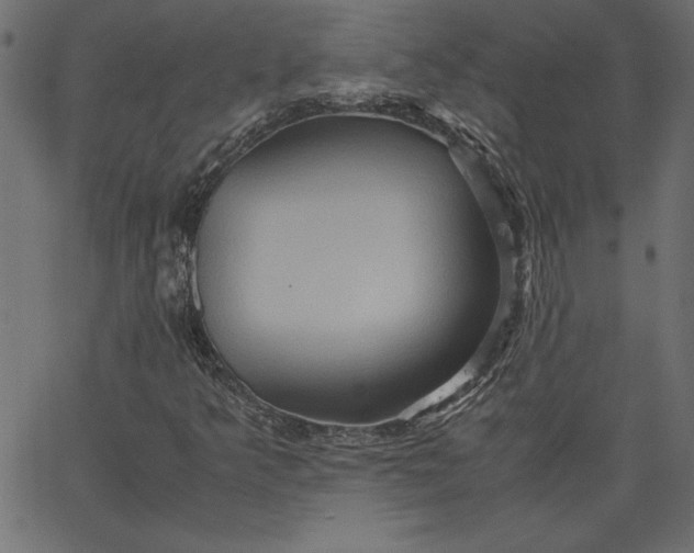 X0000067831349200604271544