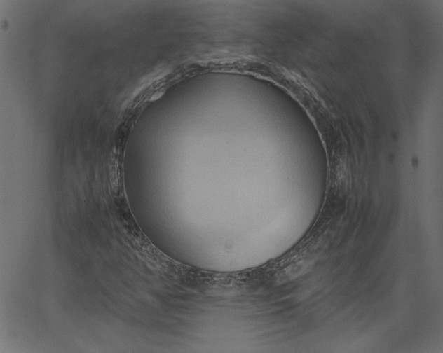 X0000067831350200604271544