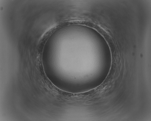 X0000067831351200604271544