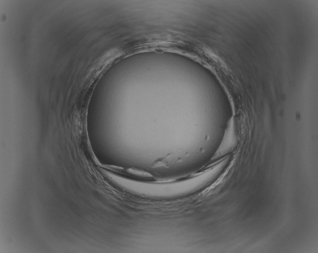 X0000067831353200604271544