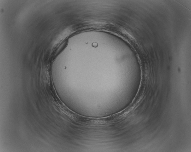 X0000067831354200604271544