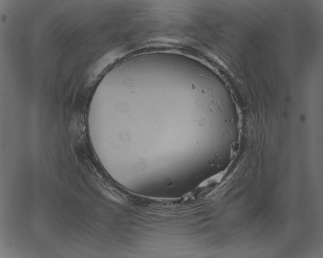 X0000067831355200604271544